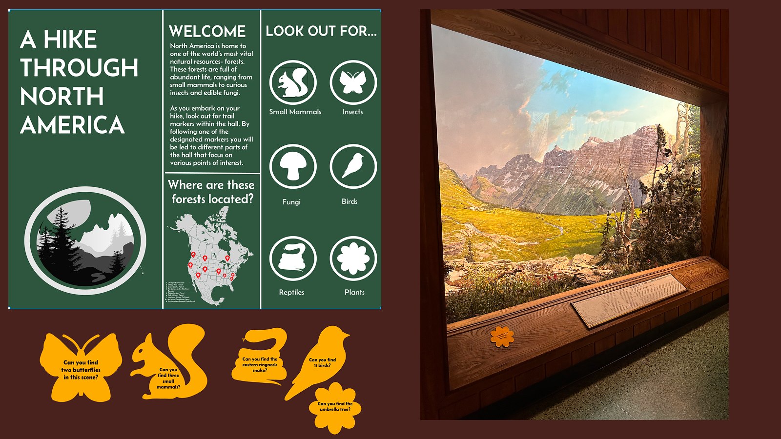 American Museum of Natural History AR experience
